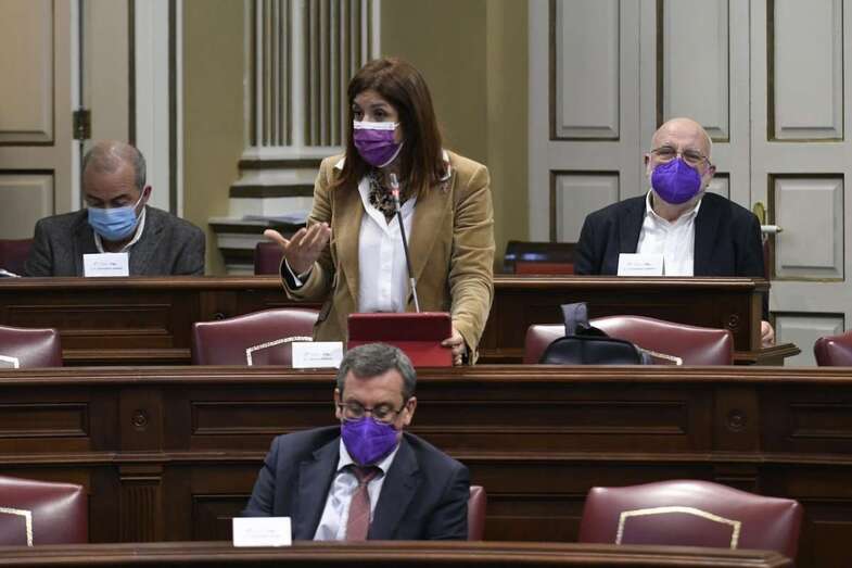 Carmen Hernández, vicealcaldesa de Telde y diputada regional de Nueva Canarias, hoy en el Parlamento canario/TA.